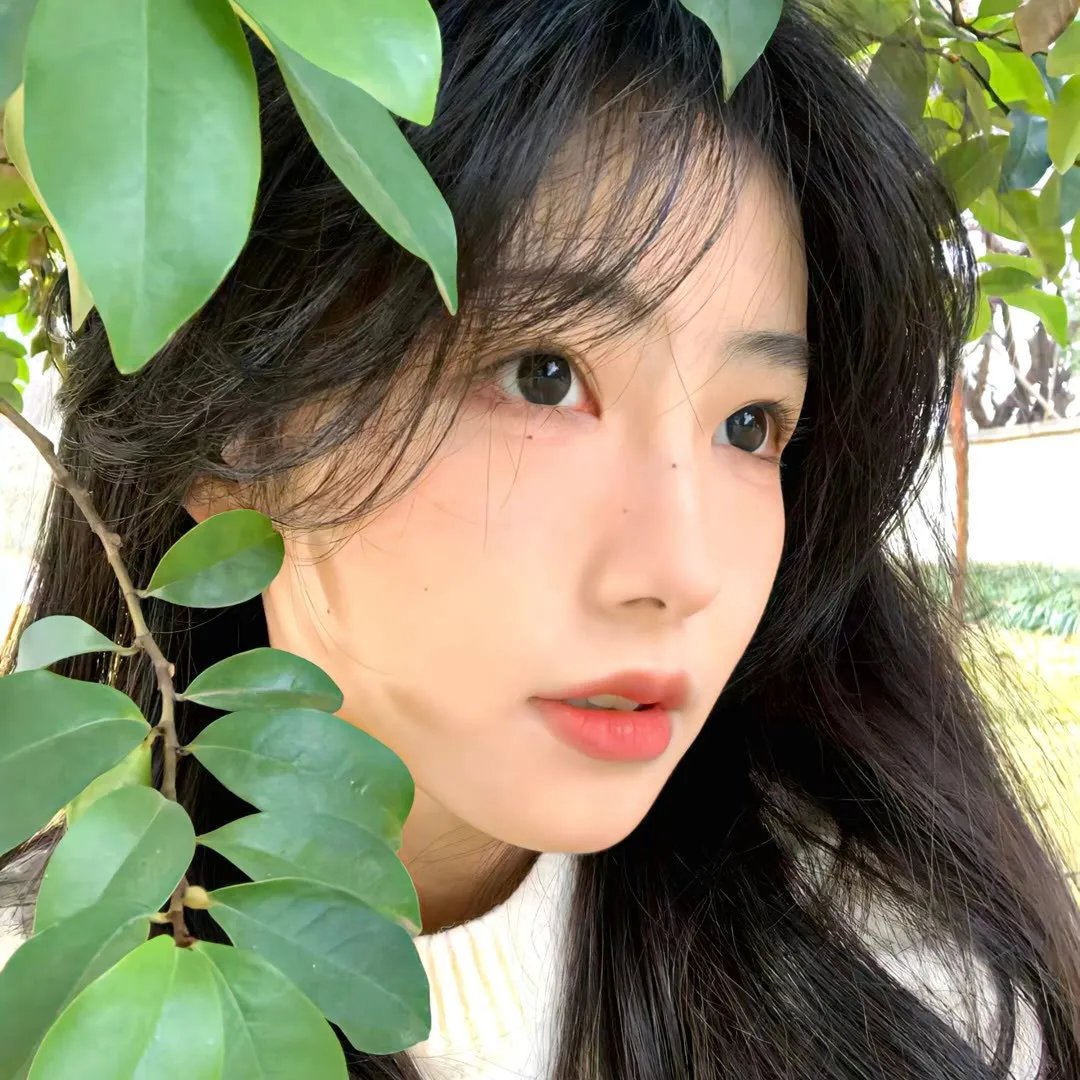 谎言之城